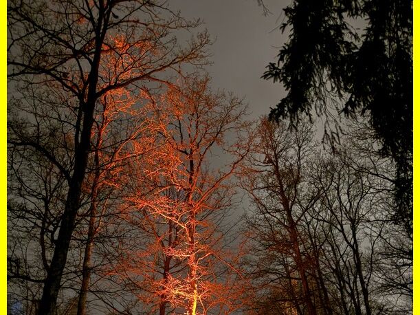2025-12-19_Pfadfinder_Weihnachtsmarkt_Im_Wald_auf_der_Ley_001.JPG