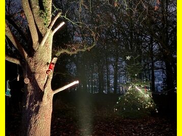 2025-12-19_Pfadfinder_Weihnachtsmarkt_Im_Wald_auf_der_Ley_005.JPG