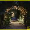 22.06.2019 Hochzeit Der Garten, Wissen