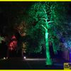 01.06.2019 Geburtstagsfeier im Wald und Hütte in Silberhardt 57223 Kreuztal-Littfeld