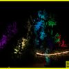 24.06.2023 40. Geburtstag Gartenparty, Freudenberg - Wildenburg