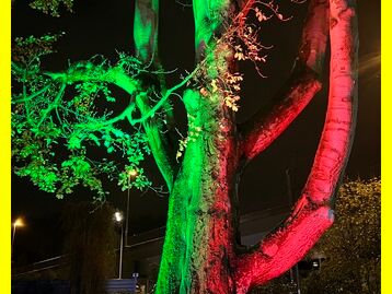 2023-11-11_DRK_Herbstfest_Schneppenkauten_Siegen_03.JPEG