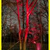 19.12.2025 Pfadfinder Weihnachtsmarkt im Wald auf der Ley