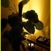 2013-05-10; 30. Geburtstag; Bürgerhaus Seelbach