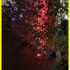 20.-22.06.2019 Freak Valley Festival in Netphen