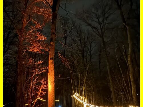 2025-12-19_Pfadfinder_Weihnachtsmarkt_Im_Wald_auf_der_Ley_007.JPG