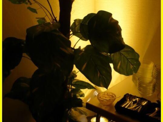 30._Geburtstag_am_10.05.2013_im_Buergerhaus_in_Seelbach_009.jpg