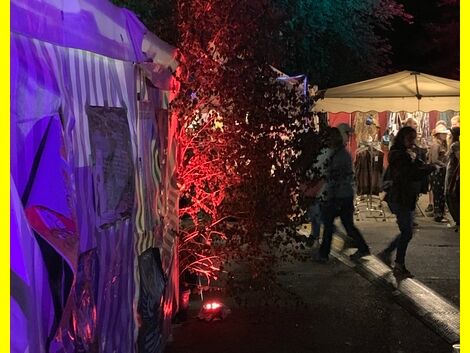 2019-06-20_23_Freak_Valley_Festival_Netphen_07.JPG