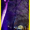 19.12.2025 Pfadfinder Weihnachtsmarkt im Wald auf der Ley