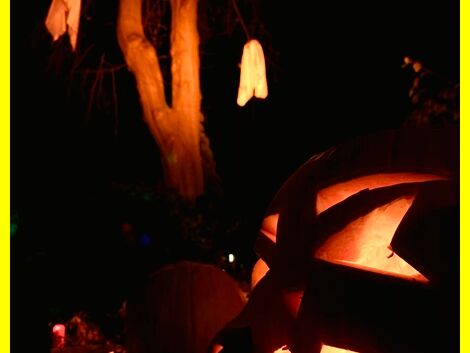 2020-10-31_Halloween_Vermietung08.jpg